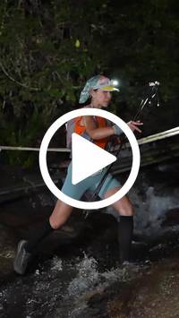 BIB:  <button type="button" onclick="openModal(27709366)" class="btn btn-primary btn-sm float-right" data-toggle="modal" data-target=".modal-high-quality">
                <i class="fa fa-download"></i> Download
                </button>